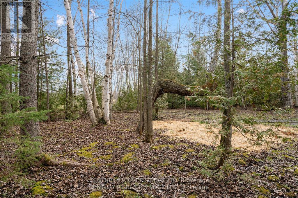 308 Forbes Road, North Grenville, Ontario K0G 1N0 - Photo 14 - X13541272