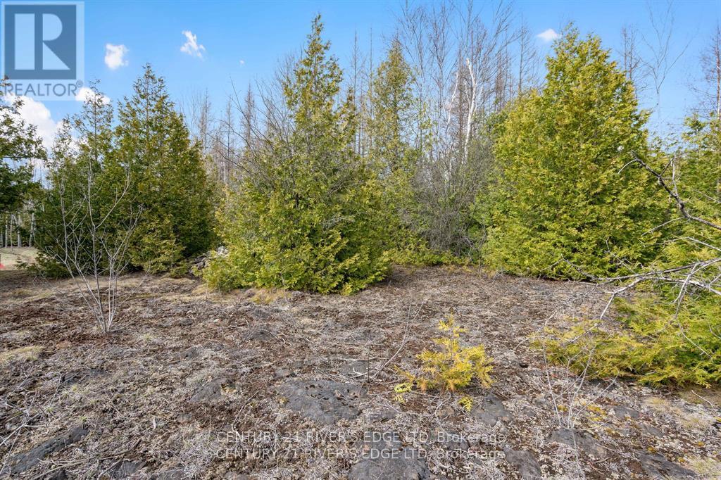 308 Forbes Road, North Grenville, Ontario K0G 1N0 - Photo 17 - X13541272