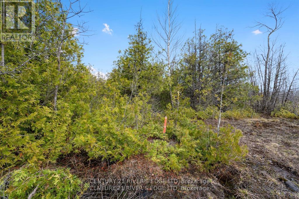 308 Forbes Road, North Grenville, Ontario K0G 1N0 - Photo 18 - X13541272