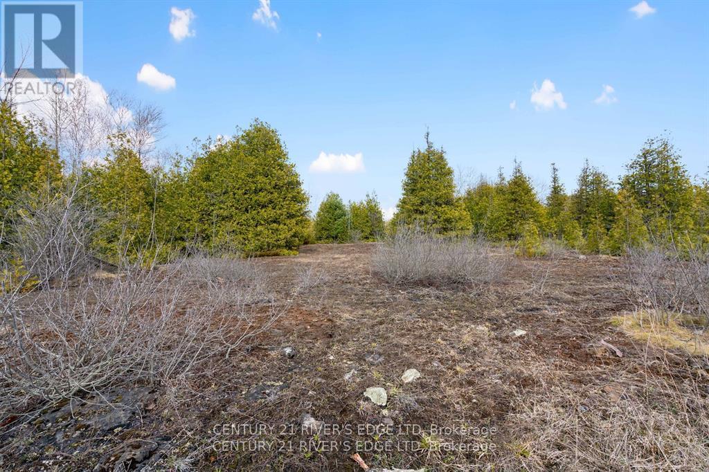 308 Forbes Road, North Grenville, Ontario K0G 1N0 - Photo 20 - X13541272