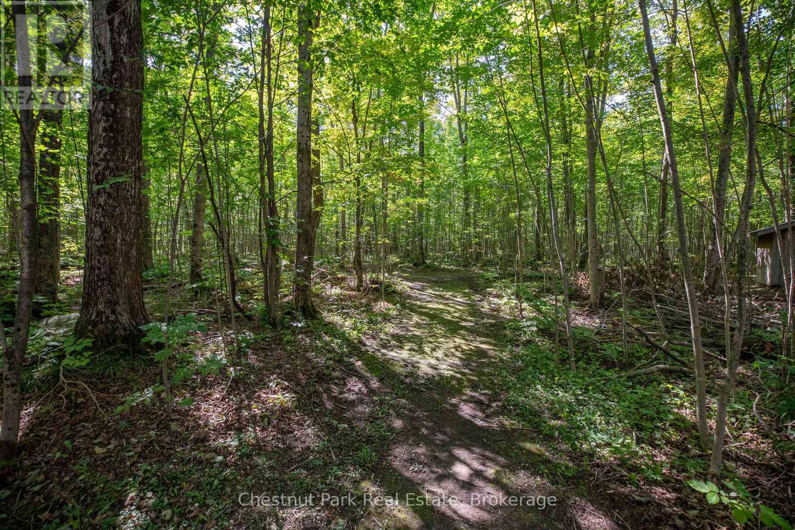 89 Tammys Cove Road, Northern Bruce Peninsula, Ontario  N0H 1Z0 - Photo 9 - X12853142