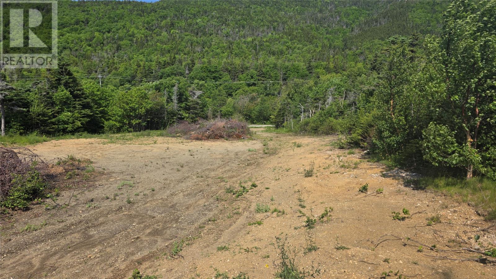 45 Main Road, York Harbour, Newfoundland & Labrador  A0L 1L0 - Photo 3 - 1295744
