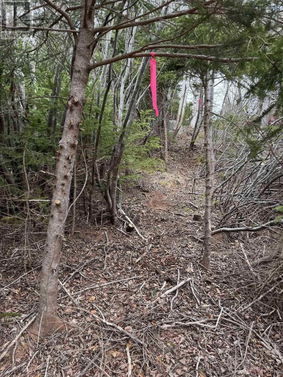 0 16 Highway, Peas Brook, Nova Scotia  B0H 1N0 - Photo 2 - 202527523