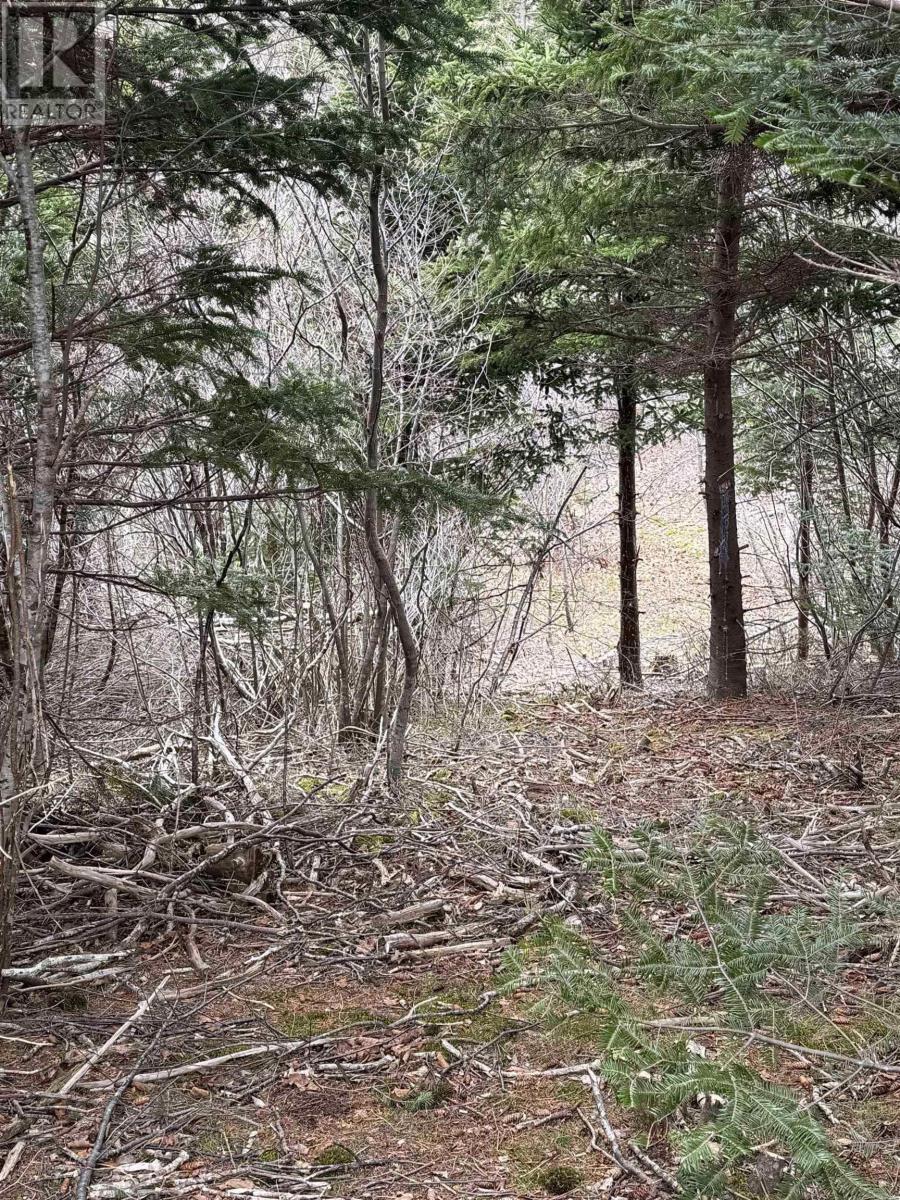 0 16 Highway, Peas Brook, Nova Scotia  B0H 1N0 - Photo 3 - 202527523