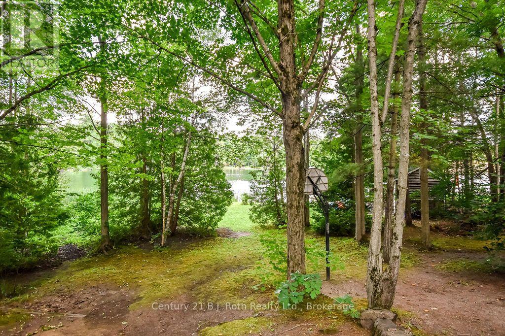 7624 South River Road, Ramara, Ontario  L0K 2B0 - Photo 38 - S13542362