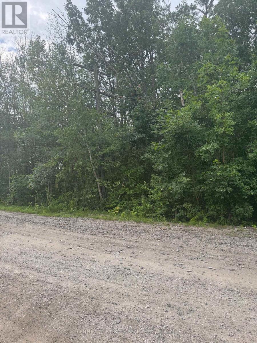 3330 Quetton Street, Severn, Ontario  L0K 2B0 - Photo 3 - S13542530