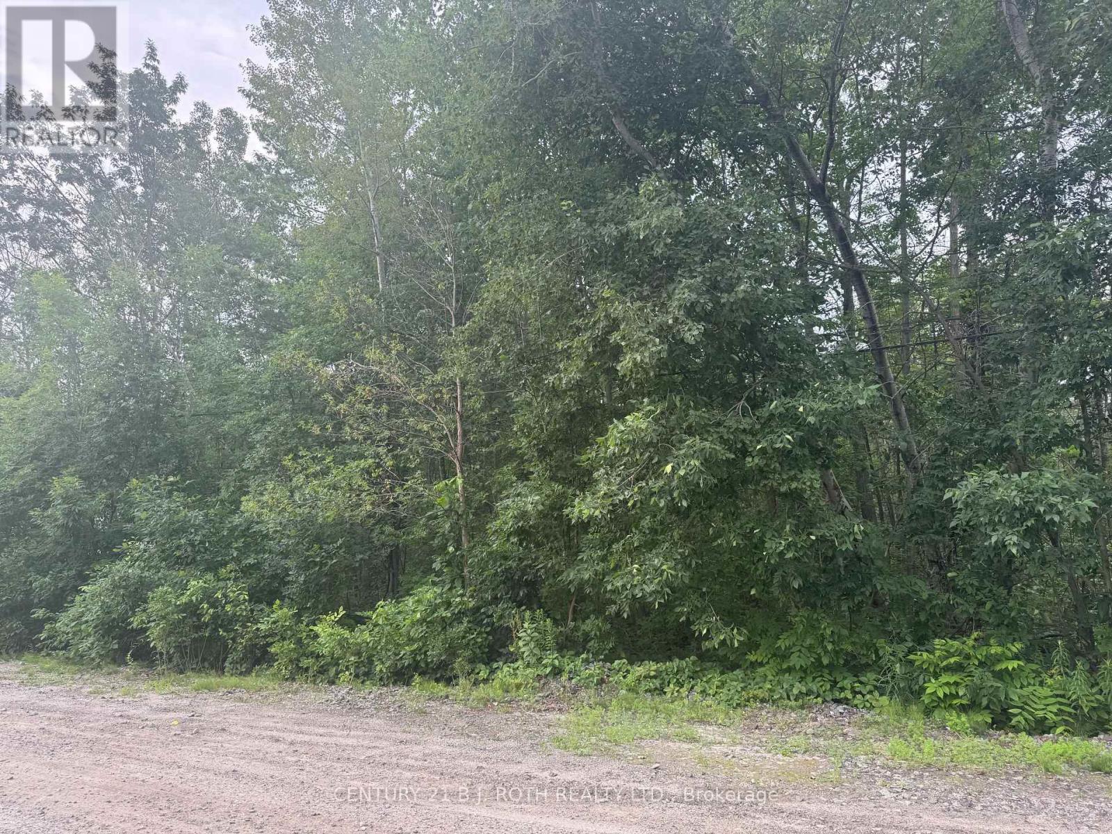 3330 Quetton Street, Severn, Ontario  L0K 2B0 - Photo 5 - S13542530
