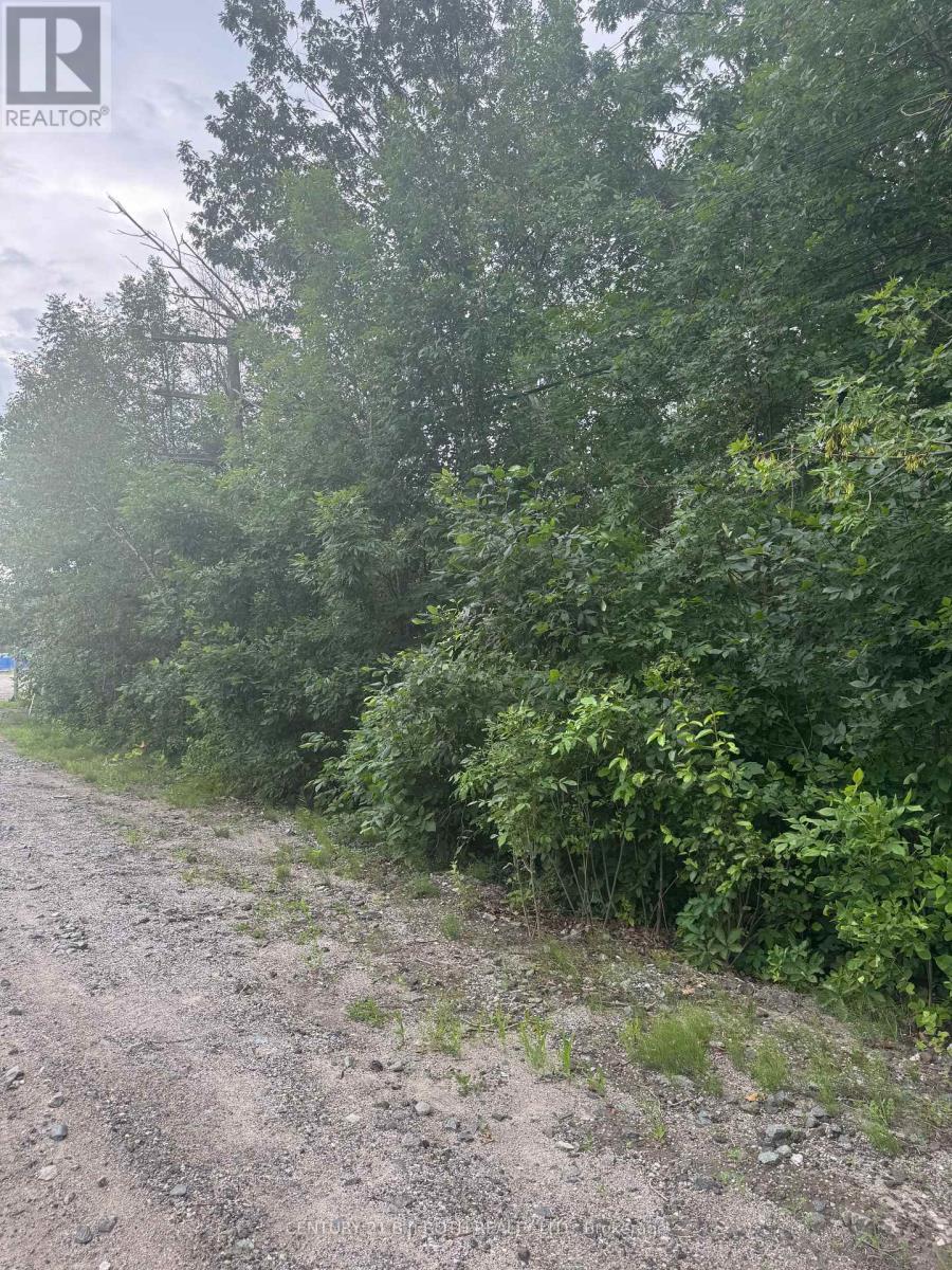 3330 Quetton Street, Severn, Ontario  L0K 2B0 - Photo 6 - S13542530