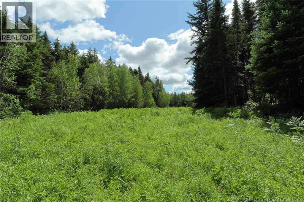 1079 Route 116, Gaspereau Forks, New Brunswick  E4A 1M8 - Photo 34 - NB143710