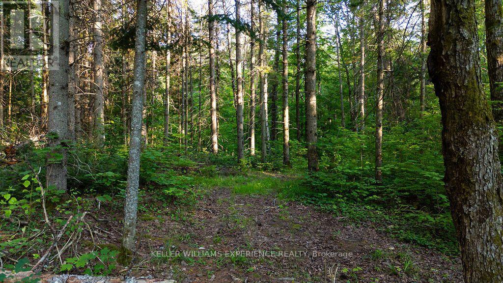 2101 Ahmic Lake Road, Magnetawan, Ontario  P0A 1P0 - Photo 26 - X13542974