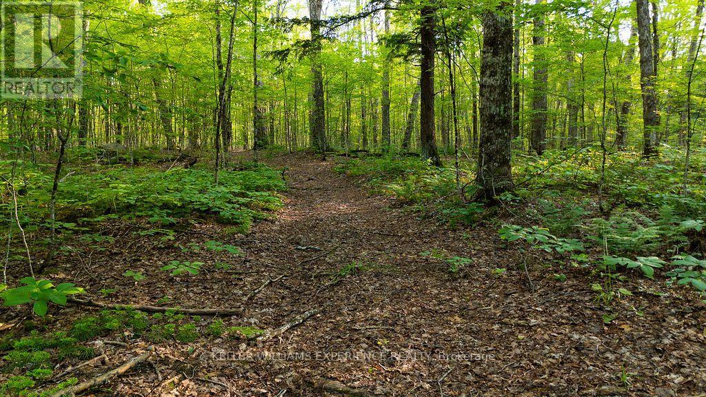 2101 Ahmic Lake Road, Magnetawan, Ontario  P0A 1P0 - Photo 27 - X13542974