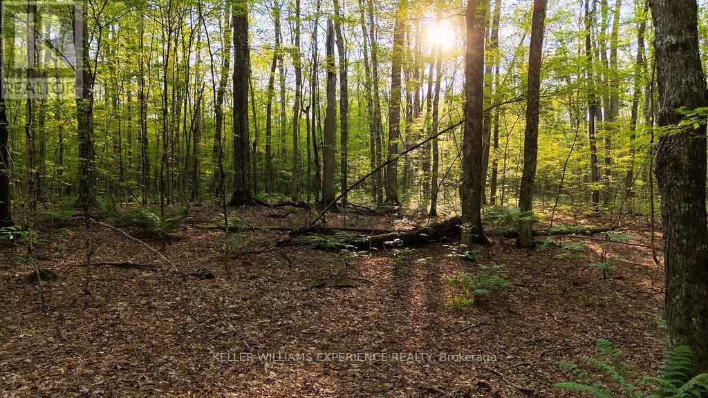 2101 Ahmic Lake Road, Magnetawan, Ontario  P0A 1P0 - Photo 28 - X13542974