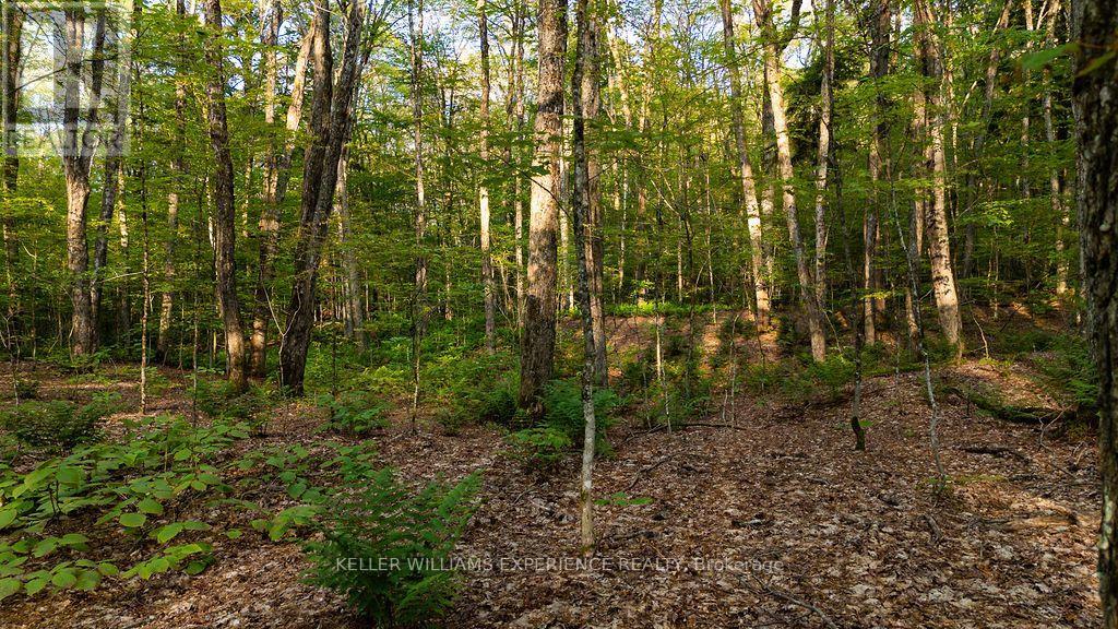 2101 Ahmic Lake Road, Magnetawan, Ontario  P0A 1P0 - Photo 30 - X13542974