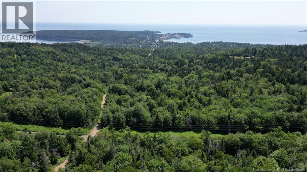 Money Cove Brook, Grand Manan, New Brunswick  E5G 1L8 - Photo 1 - NB132276