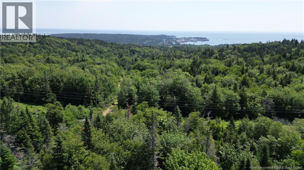 Money Cove Brook, Grand Manan, New Brunswick  E5G 1L8 - Photo 3 - NB132276