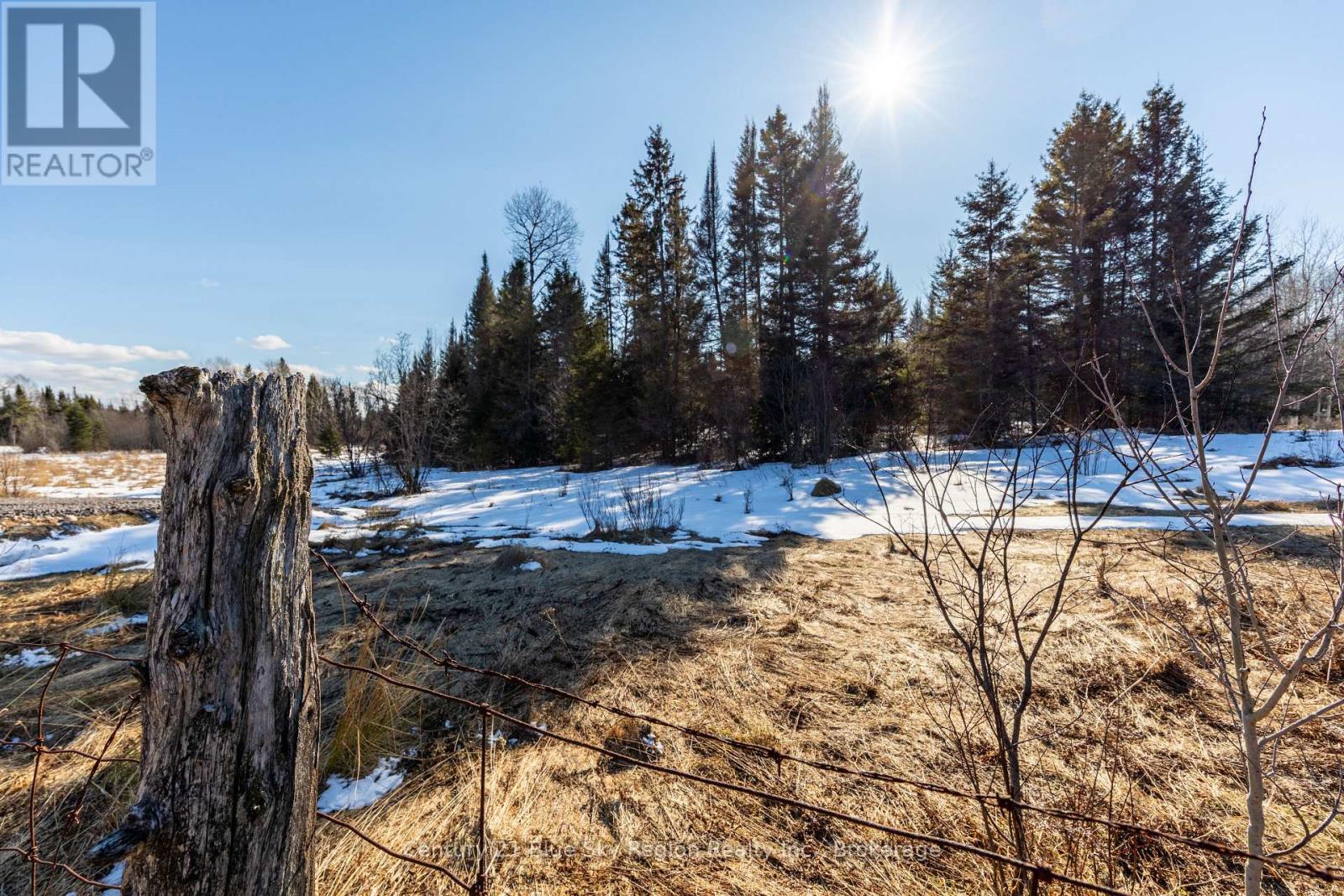 1317 Corbeil Road, East Ferris, Ontario  P0H 1K0 - Photo 2 - X12978590