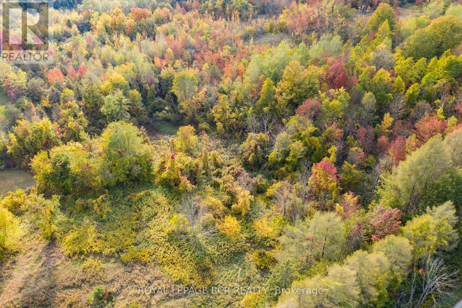 Lot 9 Mountainview Road, Caledon, Ontario  L7C 2V5 - Photo 20 - W13528414