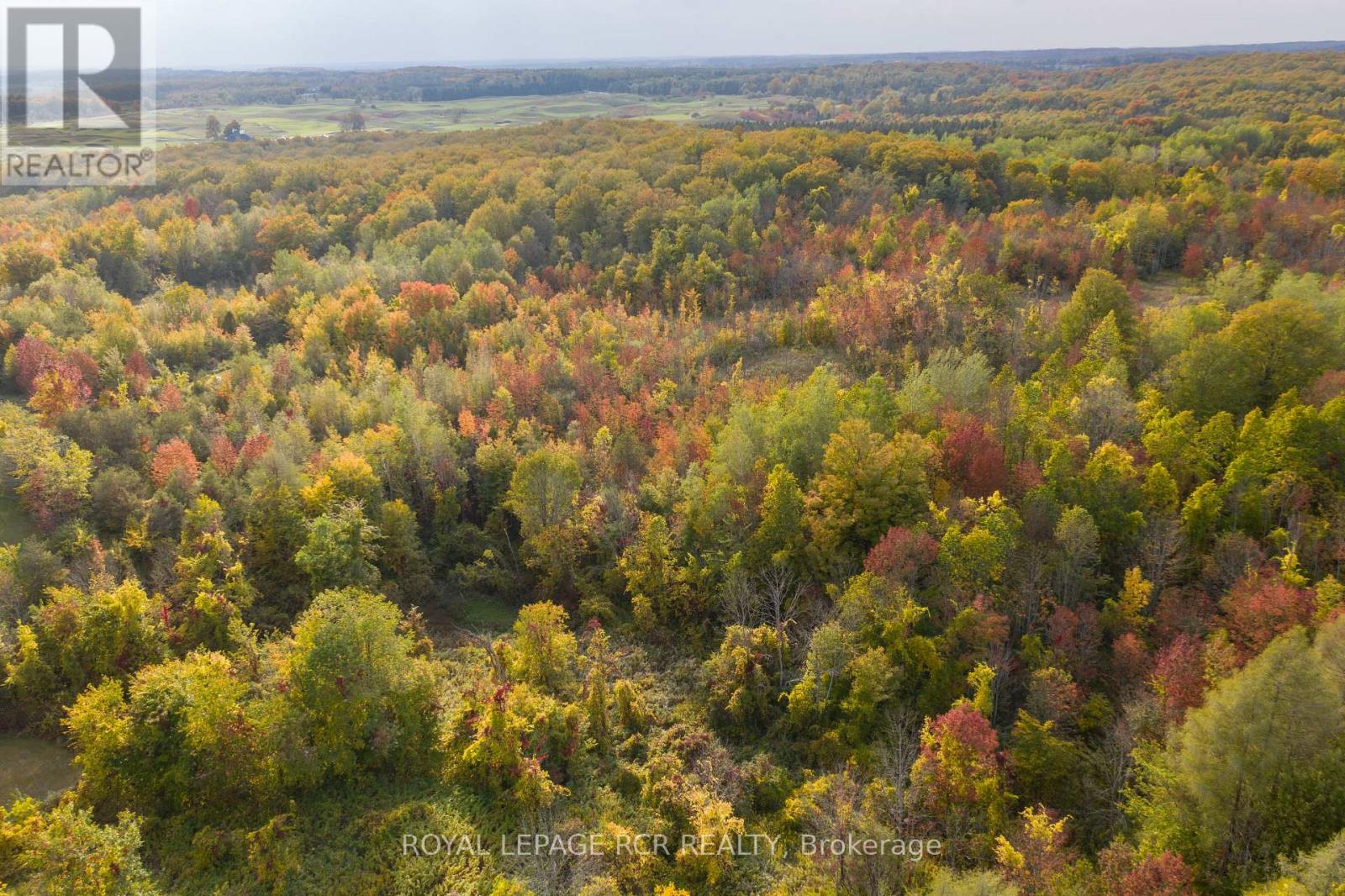 Lot 9 Mountainview Road, Caledon, Ontario  L7C 2V5 - Photo 21 - W13528414
