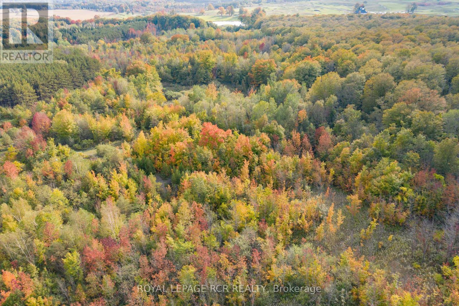 Lot 9 Mountainview Road, Caledon, Ontario  L7C 2V5 - Photo 22 - W13528414