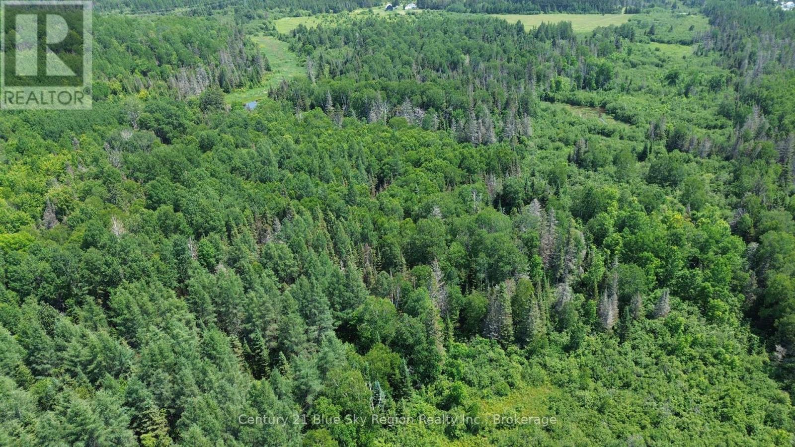 Lot 1 Tomiko Road, West Nipissing, Ontario P0H 1L0 - Photo 5 - X13543736