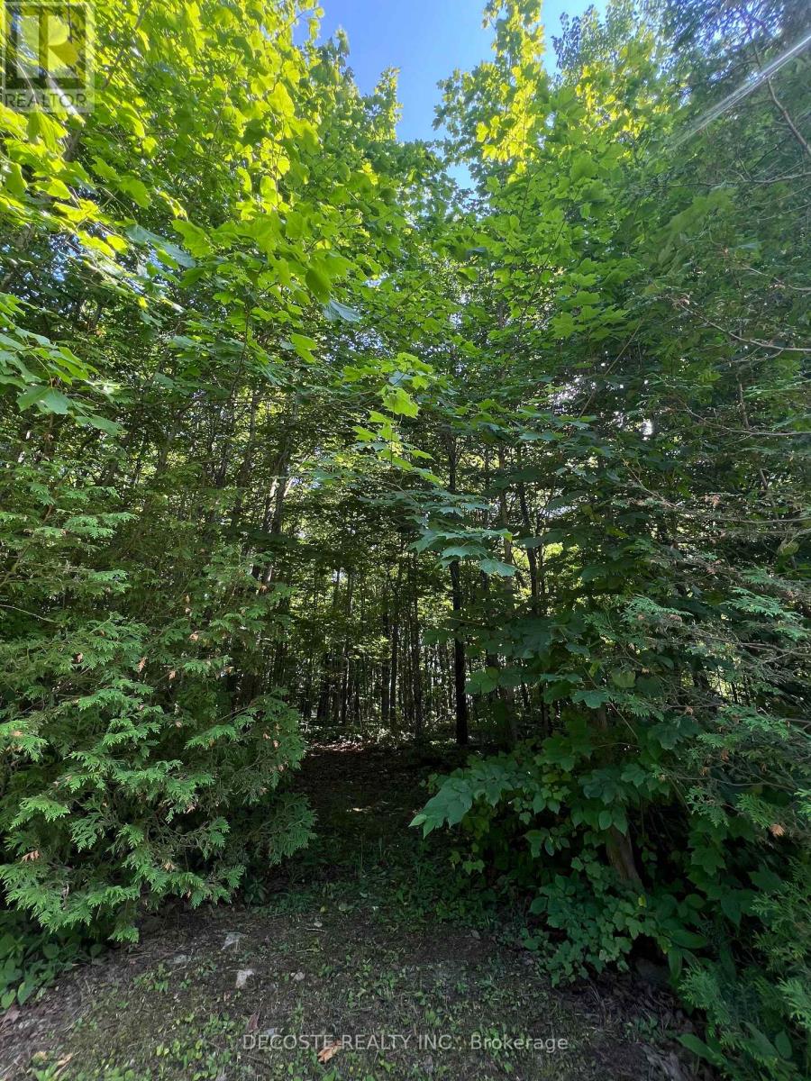 N/a Maple Road, South Glengarry, Ontario K0C 2J0 - Photo 2 - X13543568