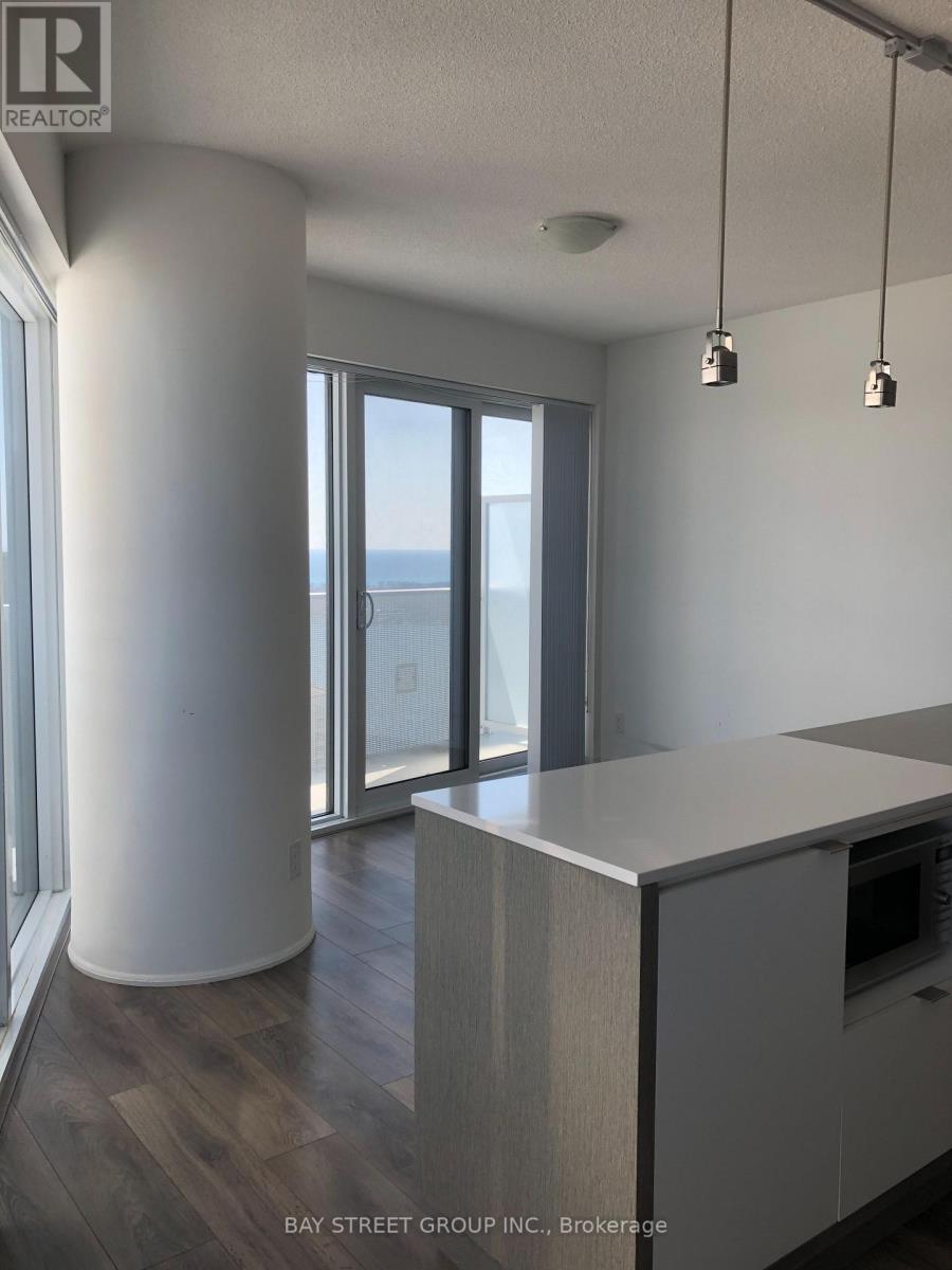 4507 - 100 Harbour Street, Toronto, Ontario  M5J 0B5 - Photo 2 - C13543540
