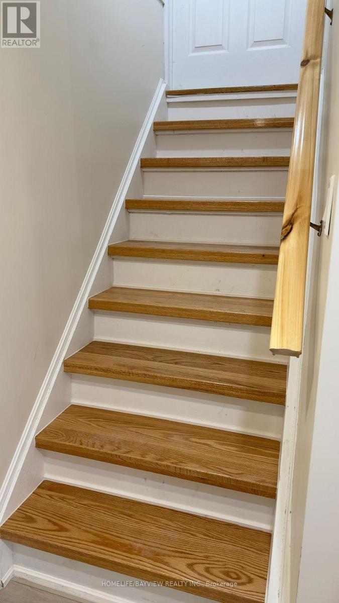 Lower Unit - 128 Adam Place, Newmarket, Ontario L3Y 8C4 - Photo 8 - N13543504