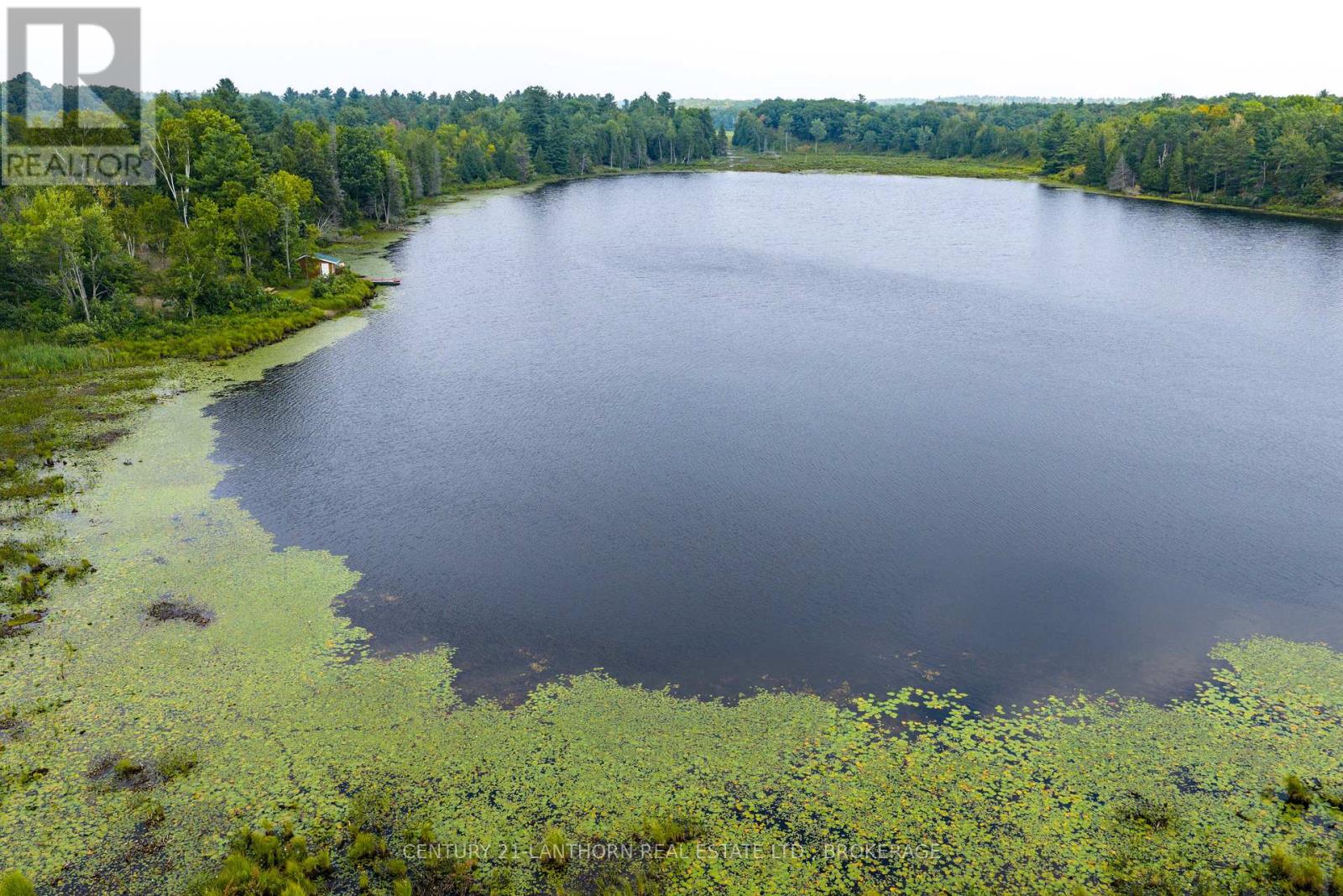 2905 County Rd 15 Road, Stone Mills, Ontario  K0K 3G0 - Photo 8 - X13543772