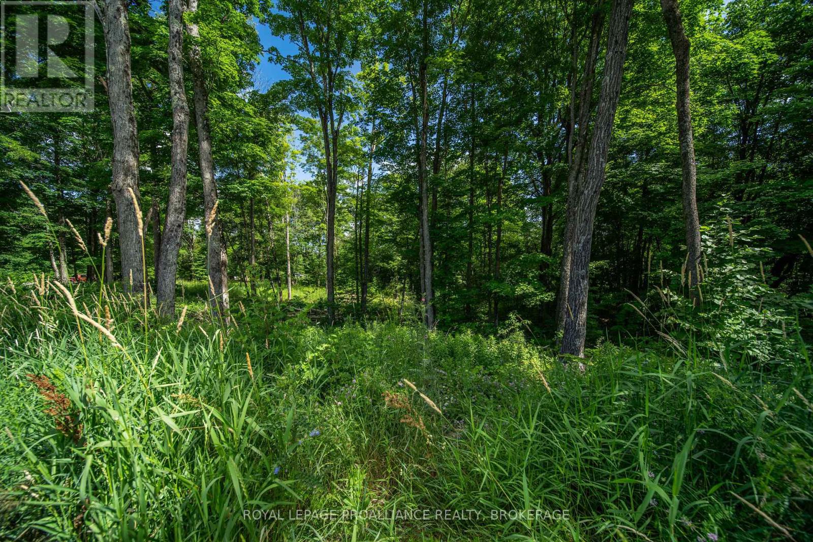 Lot 18 Part 1 Townline Road, Frontenac, Ontario  K0H 2P0 - Photo 7 - X13543800