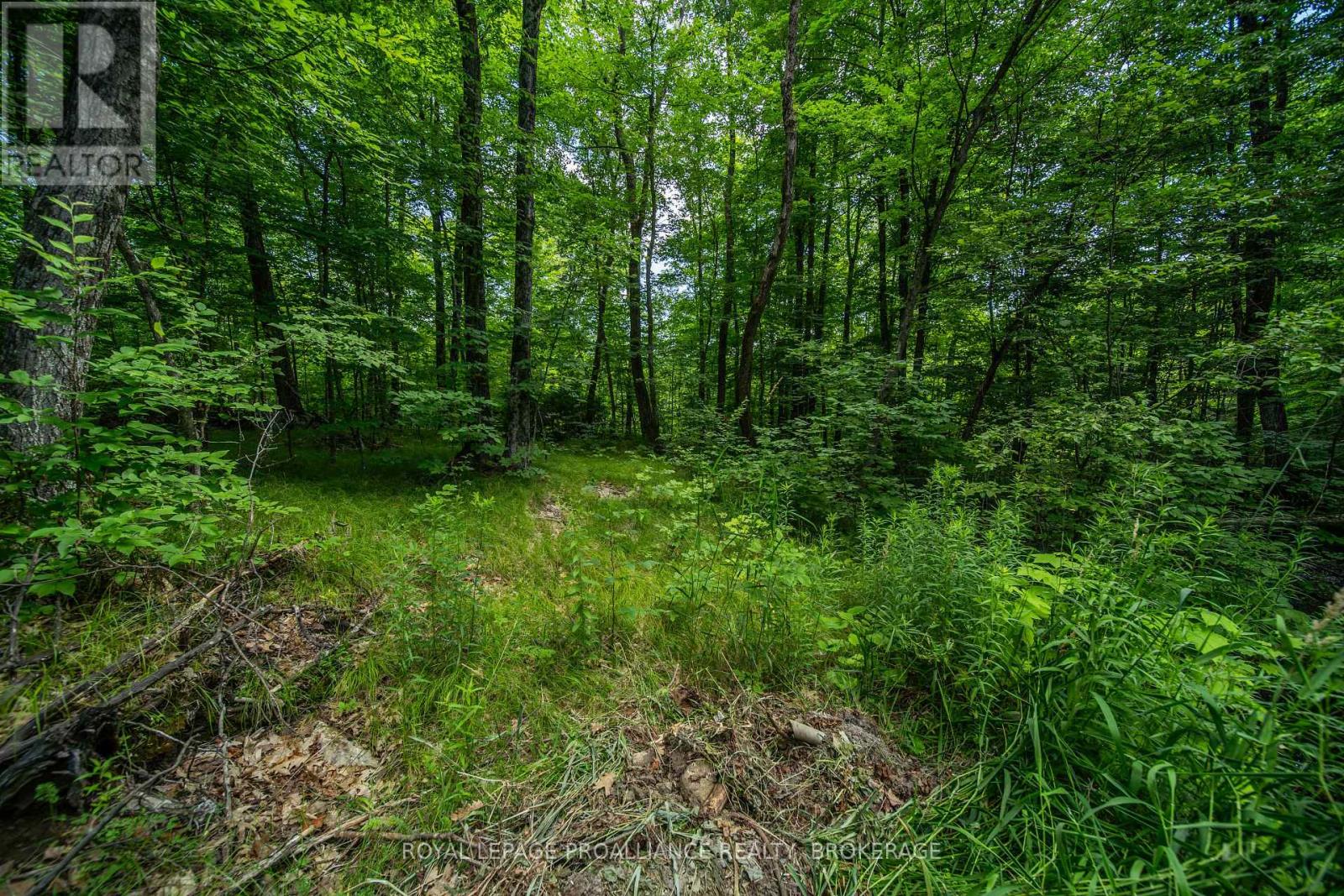 Lot 18,  Part 3 Townline Road, Frontenac, Ontario  K0H 2P0 - Photo 10 - X13543852