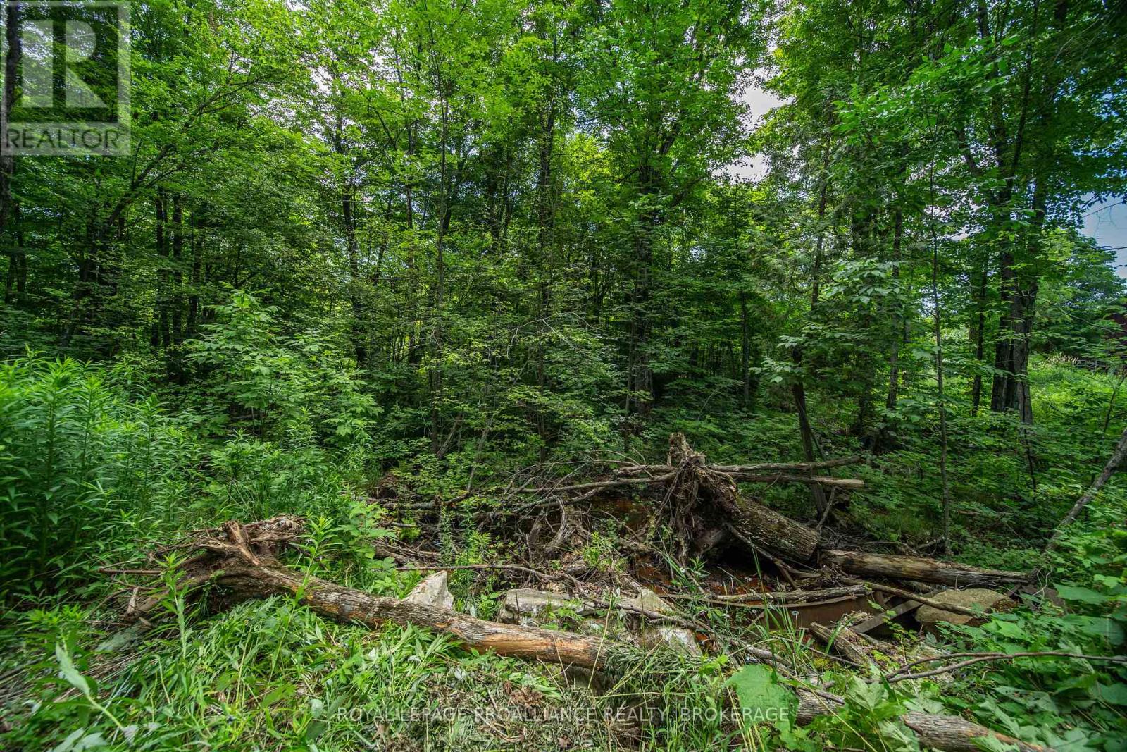 Lot 18,  Part 3 Townline Road, Frontenac, Ontario  K0H 2P0 - Photo 11 - X13543852