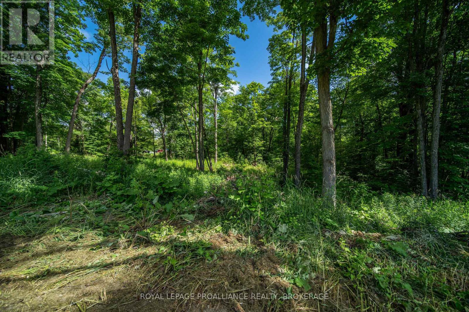 Lot 18,  Part 3 Townline Road, Frontenac, Ontario  K0H 2P0 - Photo 8 - X13543852