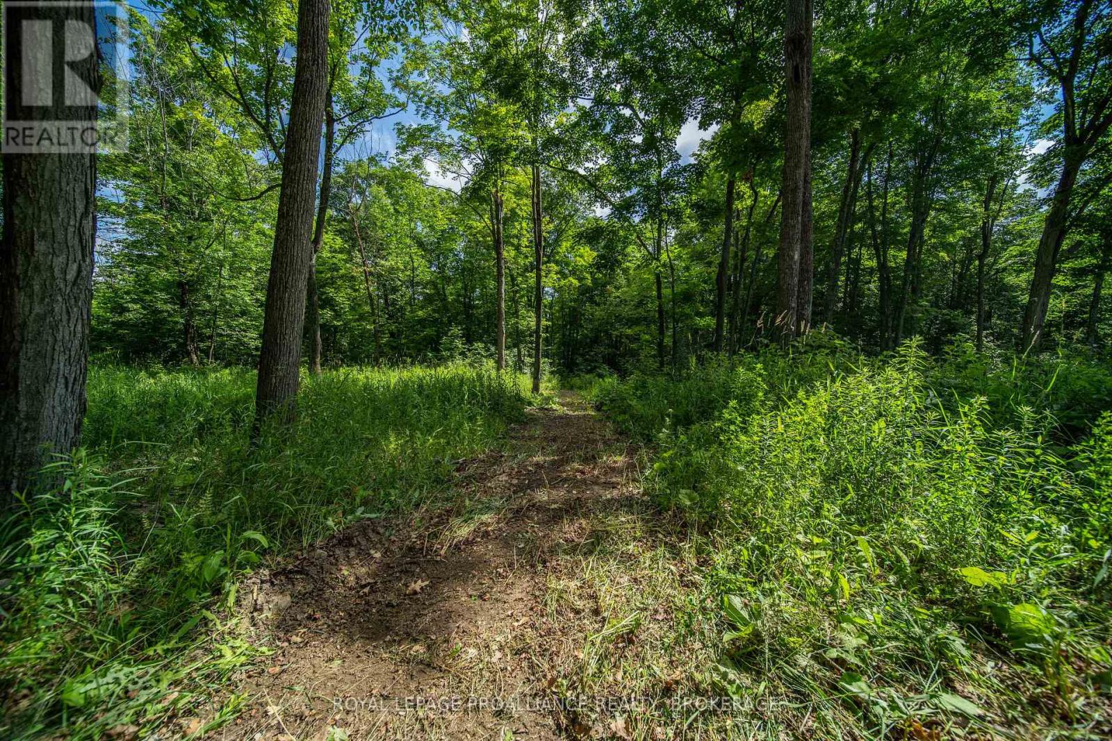 Lot 18,  Part 3 Townline Road, Frontenac, Ontario  K0H 2P0 - Photo 9 - X13543852