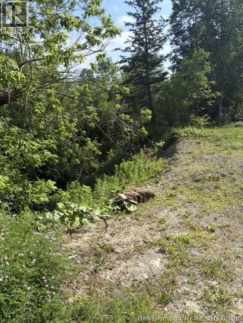 340 Milltown Boulevard, St. Stephen