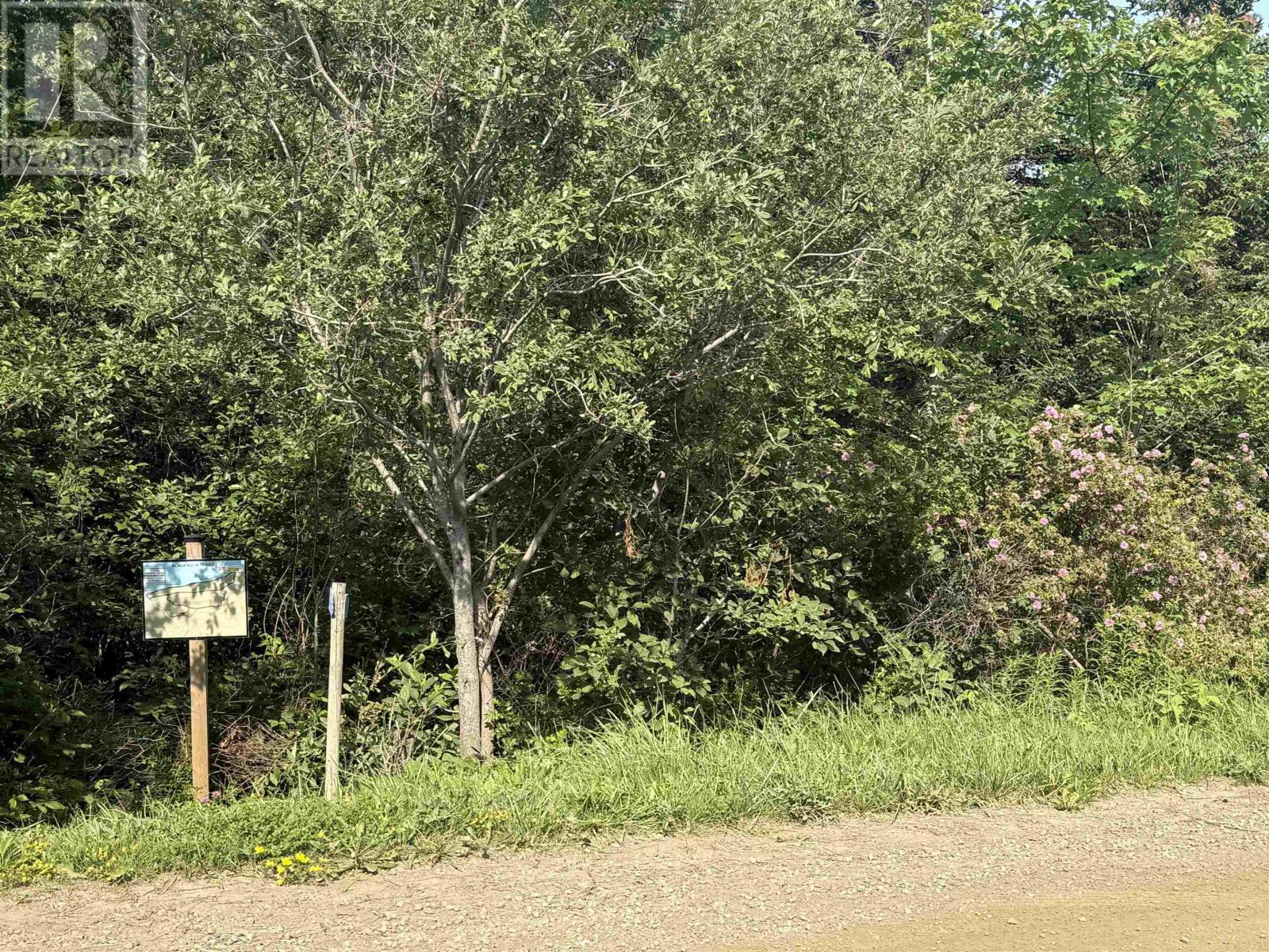 Lot Wall Street, Canada Creek, Nova Scotia  B0P 1V0 - Photo 14 - 202617053
