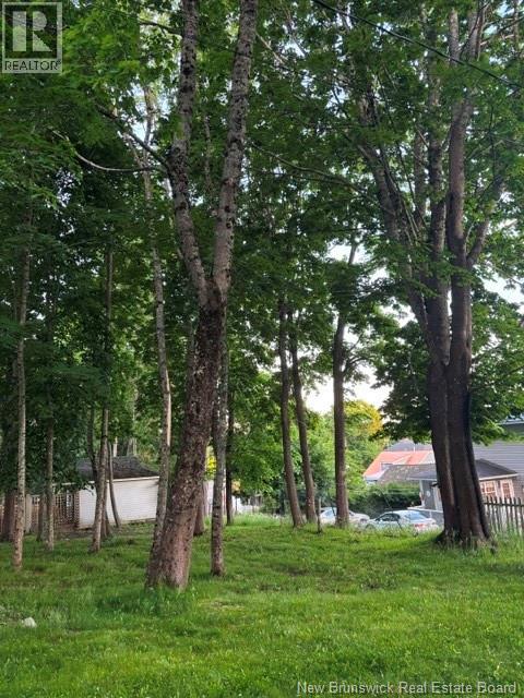 Lot Edward Street, Saint Andrews, New Brunswick  E5B 1N2 - Photo 6 - NB143004