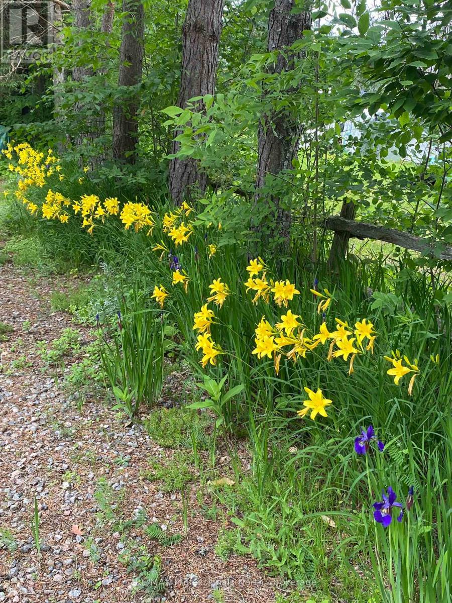 2195 Loop Road, Highlands East (Monmouth), Ontario  K0L 3C0 - Photo 47 - X13099490