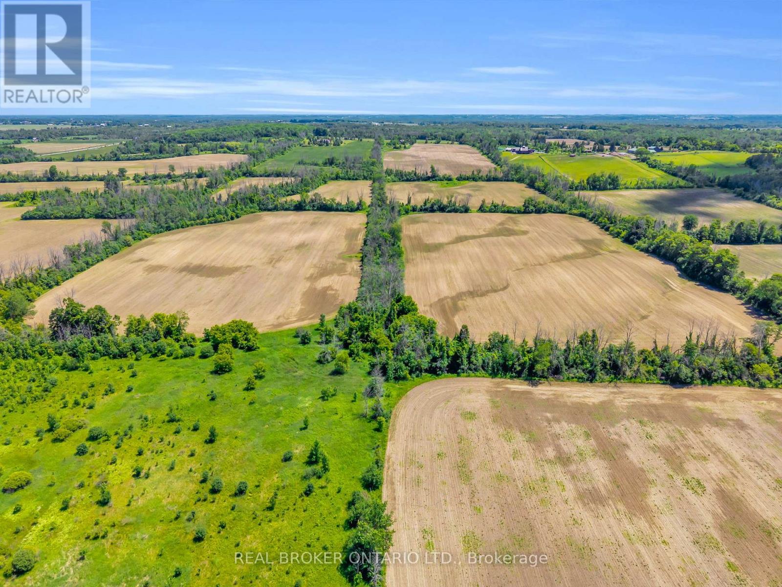 22413 Woodbine Avenue, East Gwillimbury, Ontario L4P 3E9 - Photo 10 - N13487994