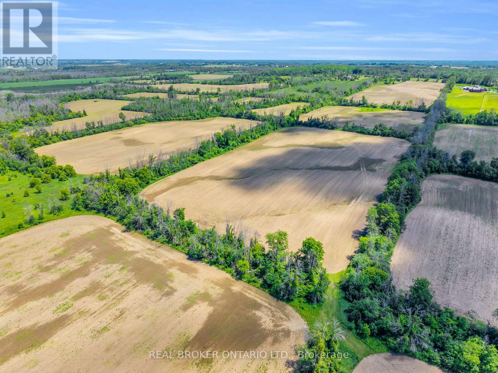22413 Woodbine Avenue, East Gwillimbury, Ontario L4P 3E9 - Photo 9 - N13487994