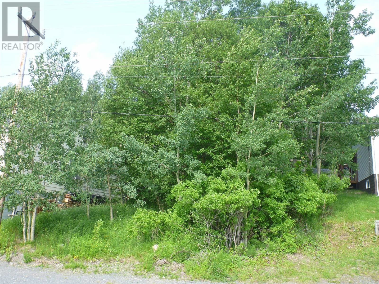54 Marine Drive, Clarenville, Newfoundland & Labrador  A5A 1L3 - Photo 2 - 1300153