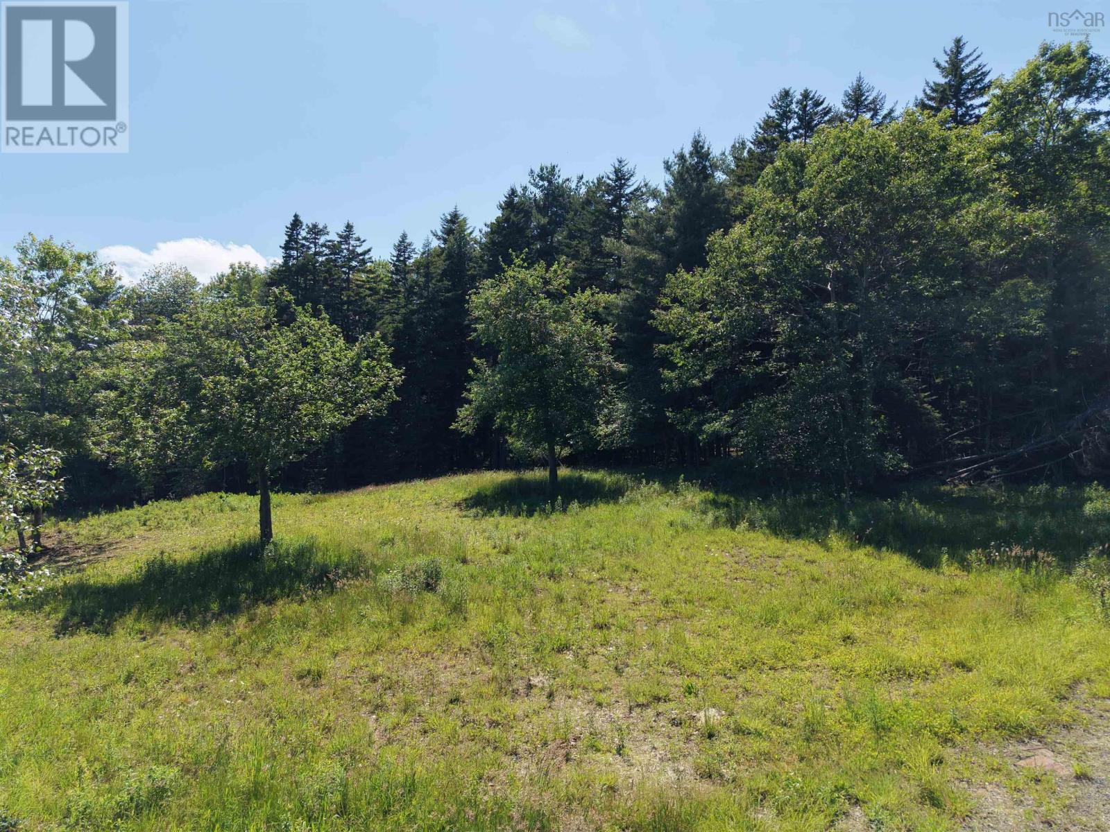 Lot 103 Highway 325, Blockhouse, Nova Scotia  B0J 2E0 - Photo 10 - 202616064