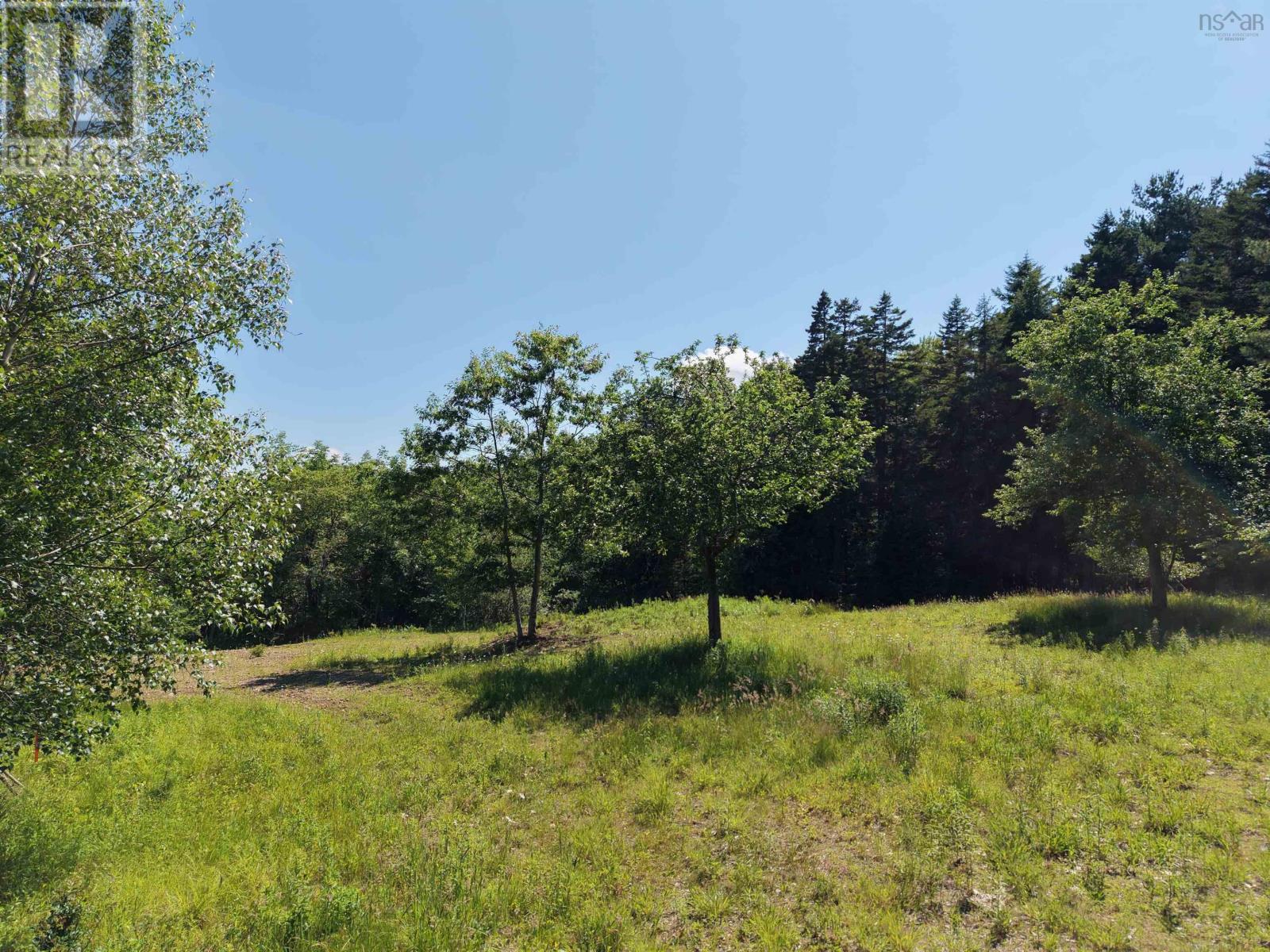 Lot 103 Highway 325, Blockhouse, Nova Scotia  B0J 2E0 - Photo 8 - 202616064