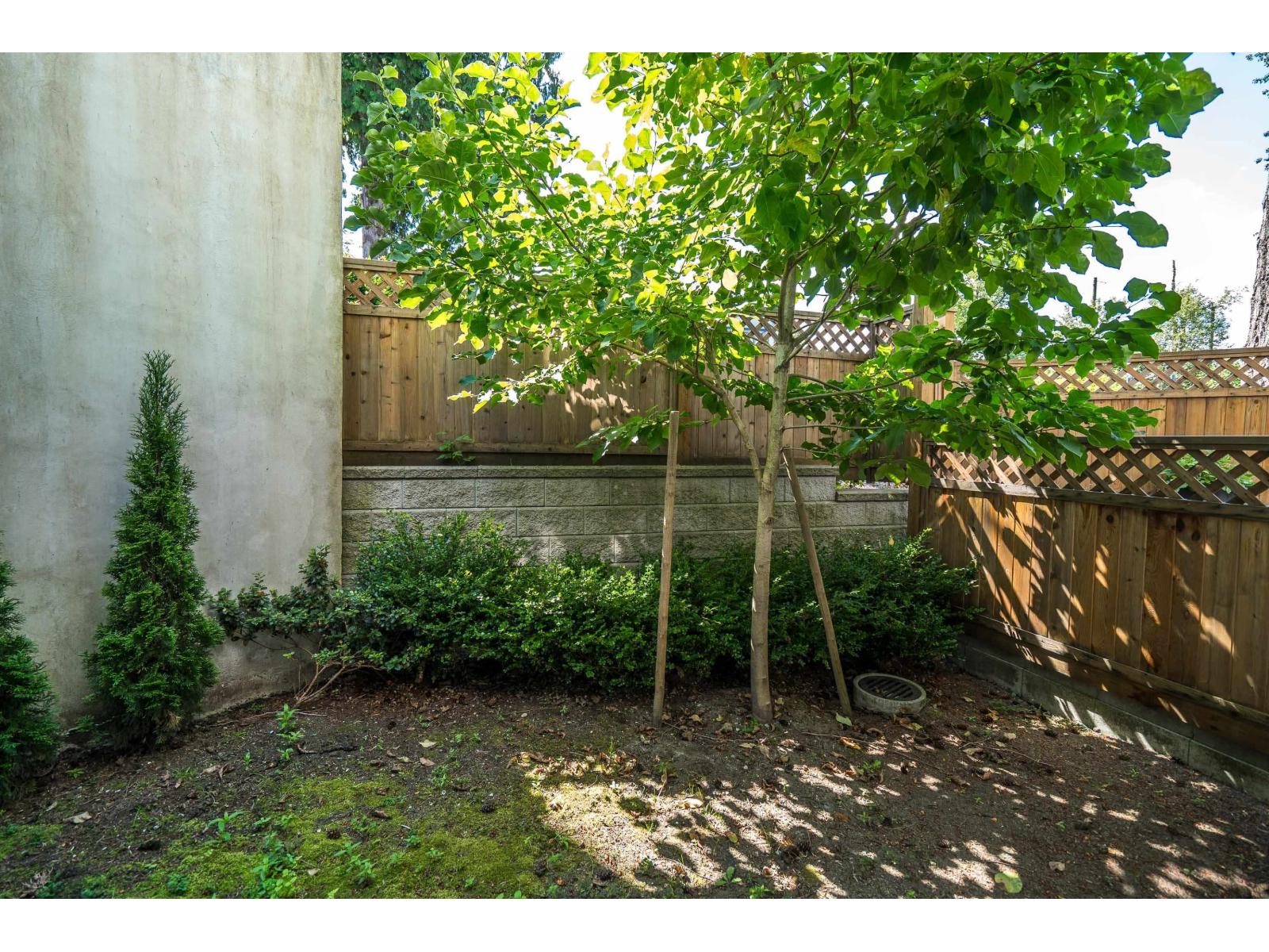 Listing image 36