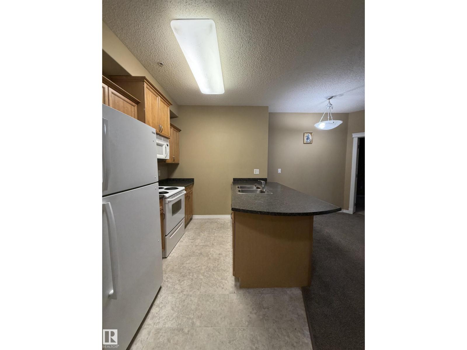 #128 16807 100 Av Nw Nw, Edmonton, Alberta  T5P 4Z6 - Photo 18 - E4497554