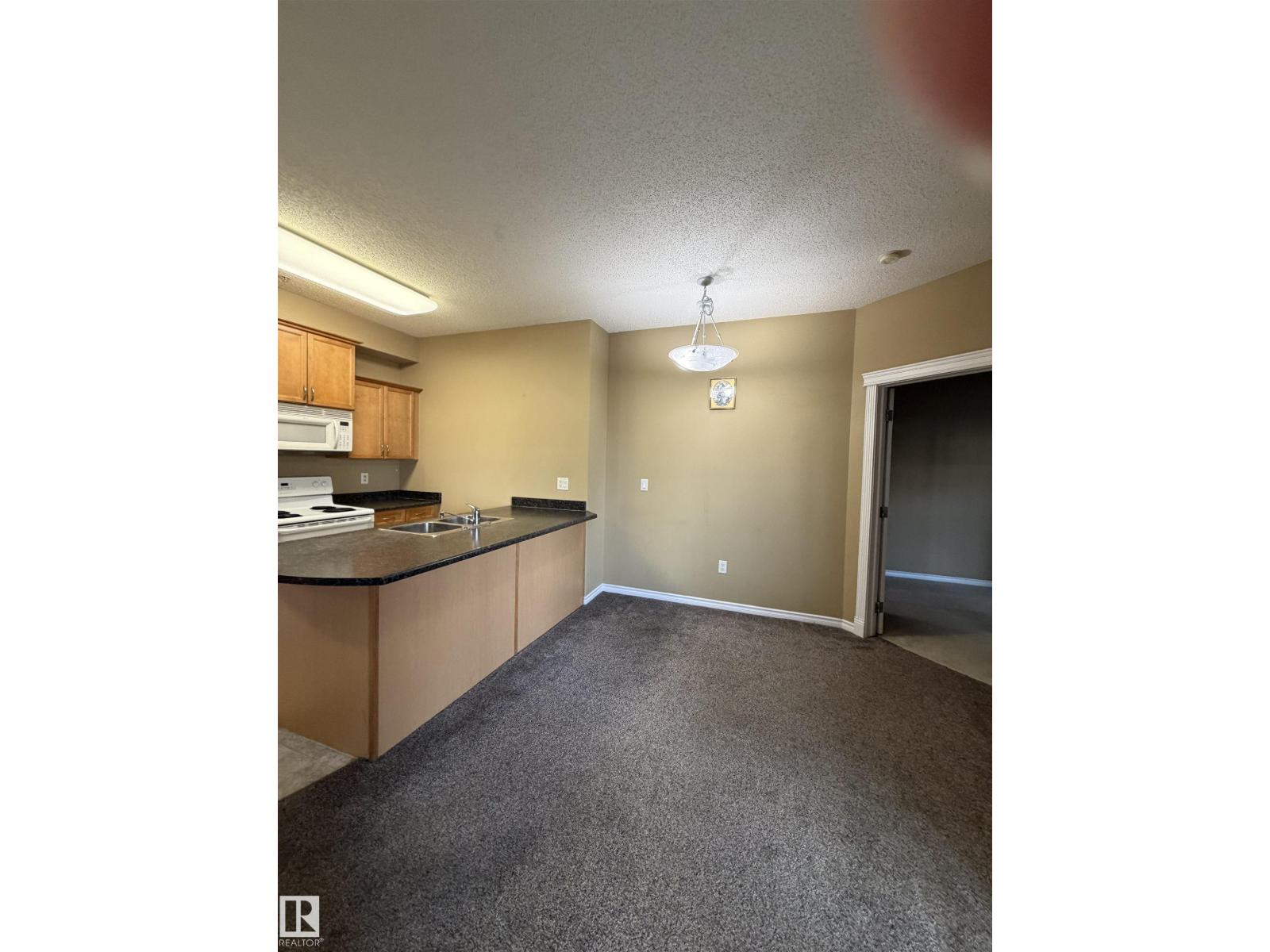 #128 16807 100 Av Nw Nw, Edmonton, Alberta  T5P 4Z6 - Photo 13 - E4497554
