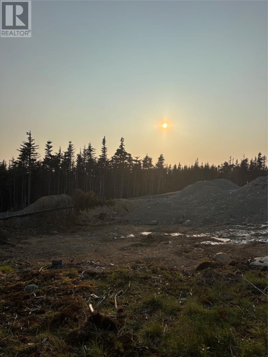 17 Emerald Cove, Portugal Cove-St. Phlips, Newfoundland & Labrador  A1M 0G7 - Photo 7 - 1299781