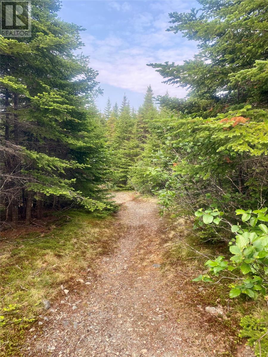 17 Emerald Cove, Portugal Cove-St. Phlips, Newfoundland & Labrador  A1M 0G7 - Photo 6 - 1299781