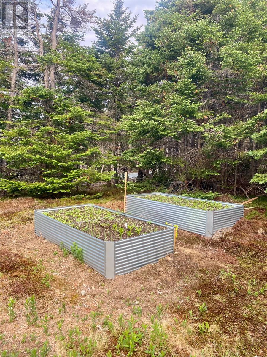 17 Emerald Cove, Portugal Cove-St. Phlips, Newfoundland & Labrador  A1M 0G7 - Photo 5 - 1299781