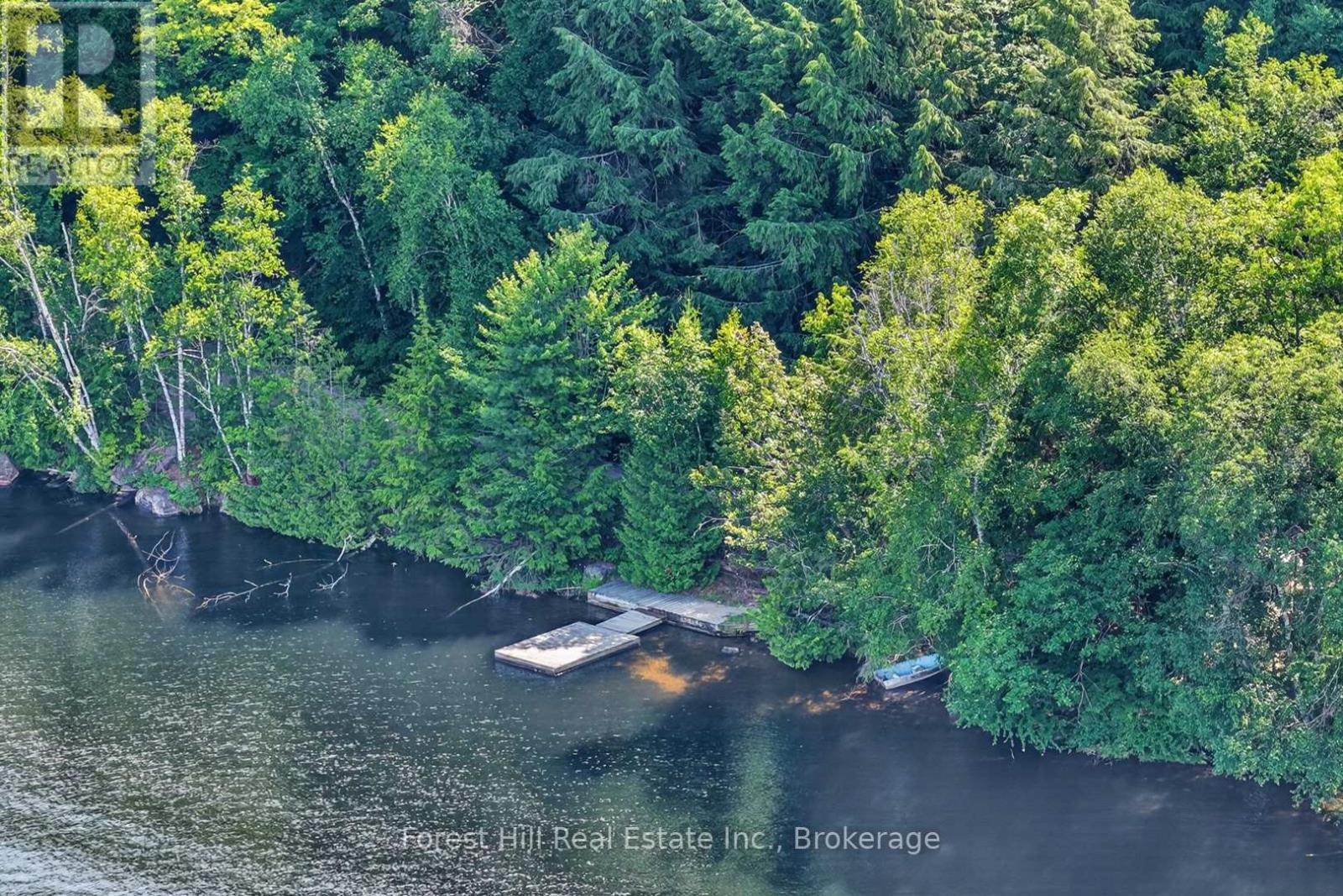 0 Alice Drive, Algonquin Highlands, Ontario  P0A 1E0 - Photo 4 - X13523398