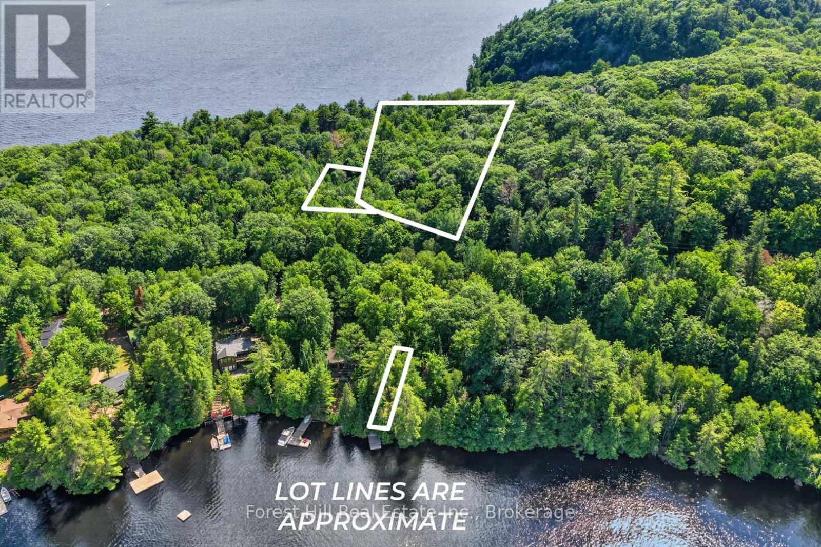 0 Alice Drive, Algonquin Highlands, Ontario  P0A 1E0 - Photo 3 - X13523398